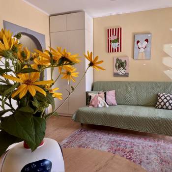 Сдается 1-комнатная квартира, 23 м²
