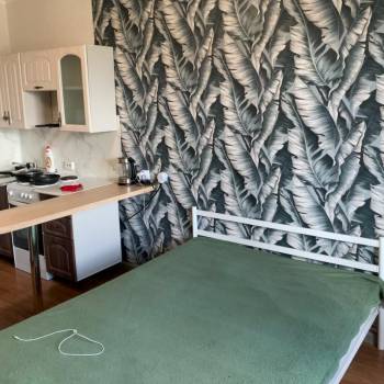 Сдается 1-комнатная квартира, 25 м²