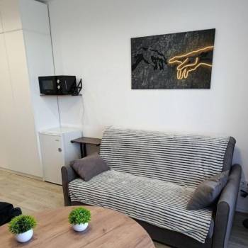 Сдается 1-комнатная квартира, 32 м²