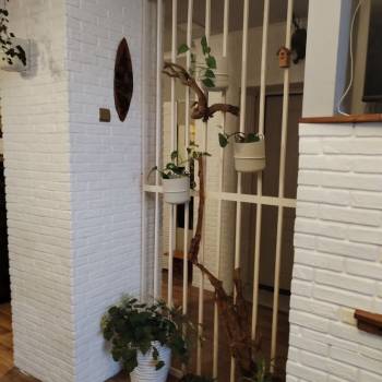 Сдается Комната, 16 м²