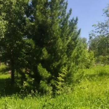 Продается Участок, 1100 м²