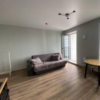 Сдается 1-комнатная квартира, 30 м²