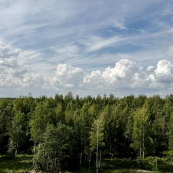 Сдается 1-комнатная квартира, 41 м²