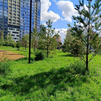 Сдается 1-комнатная квартира, 22 м²