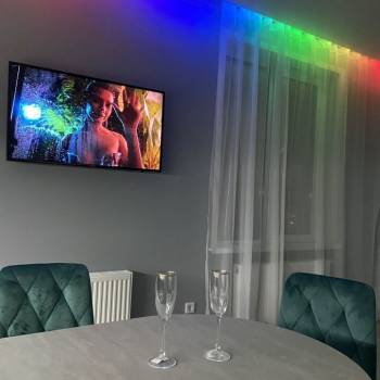 Сдается 1-комнатная квартира, 310 м²