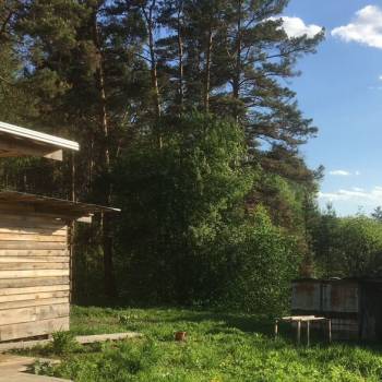 Сдается Дом, 40 м²