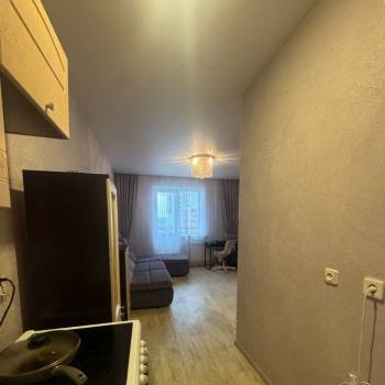 Сдается 1-комнатная квартира, 29,4 м²
