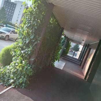 Сдается 2-х комнатная квартира, 50 м²