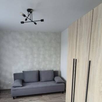 Сдается 1-комнатная квартира, 30,52 м²