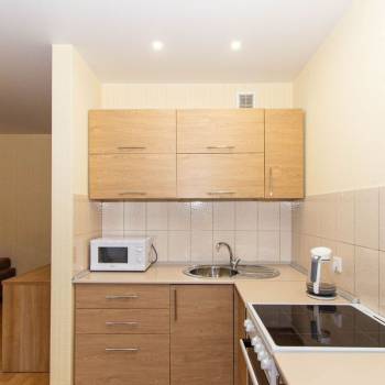 Сдается 1-комнатная квартира, 30,8 м²
