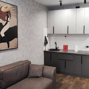 Сдается 1-комнатная квартира, 26,4 м²