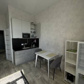 Сдается 1-комнатная квартира, 24,7 м²