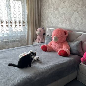 Продается 3-х комнатная квартира, 58,6 м²