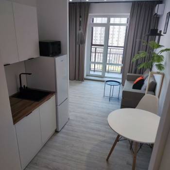 Сдается 1-комнатная квартира, 27,4 м²