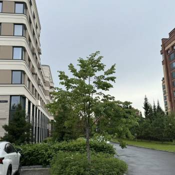 Продается 2-х комнатная квартира, 52 м²