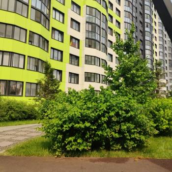 Сдается Многокомнатная квартира, 64 м²