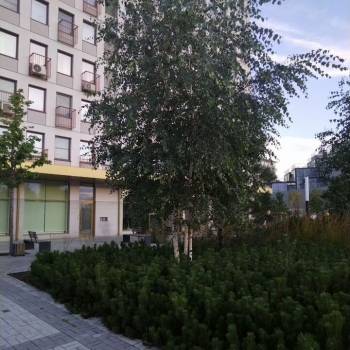 Сдается 1-комнатная квартира, 25 м²