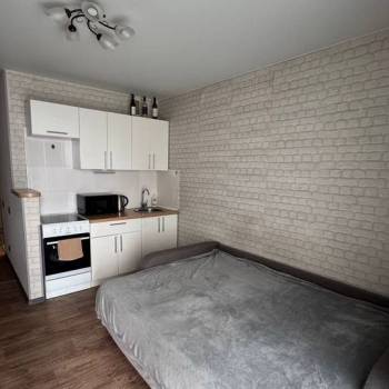 Сдается 1-комнатная квартира, 23,8 м²