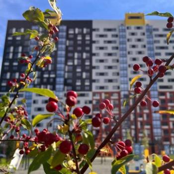 Сдается 1-комнатная квартира, 22 м²