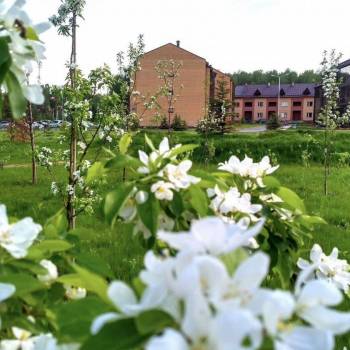 Сдается 1-комнатная квартира, 40 м²