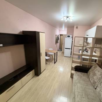 Сдается 1-комнатная квартира, 20,8 м²
