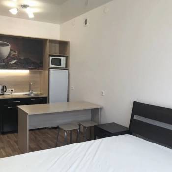 Продается 1-комнатная квартира, 24,3 м²