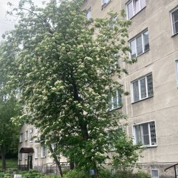 Продается 3-х комнатная квартира, 58 м²