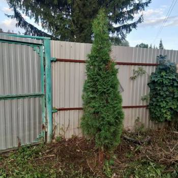 Продается Дом, 24 м²