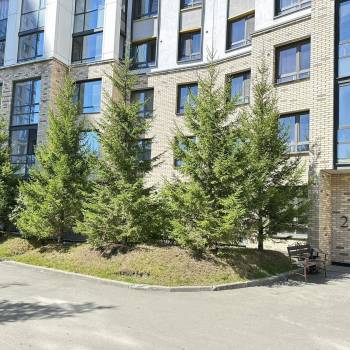 Сдается 1-комнатная квартира, 22 м²