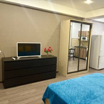 Сдается 1-комнатная квартира, 31,4 м²
