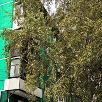 Сдается 2-х комнатная квартира, 46 м²