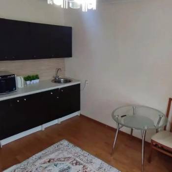 Сдается 1-комнатная квартира, 22,2 м²