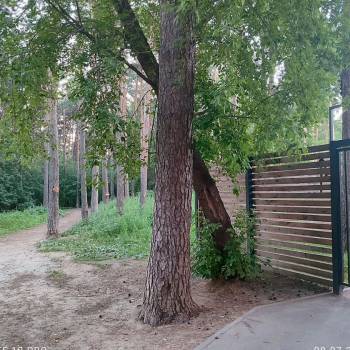 Сдается 1-комнатная квартира, 40,5 м²