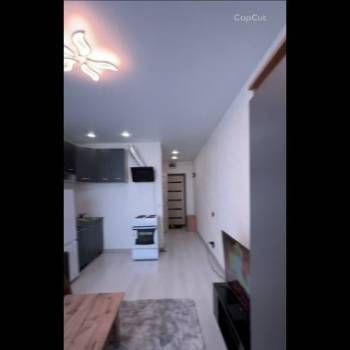 Сдается 1-комнатная квартира, 21,6 м²