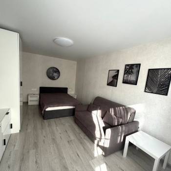 Сдается 1-комнатная квартира, 31,8 м²