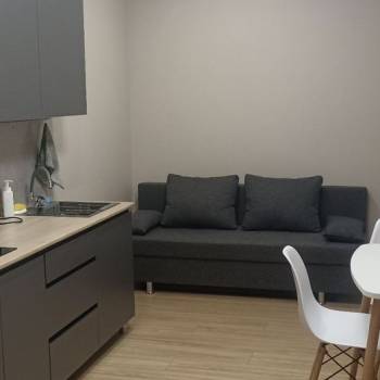 Сдается 1-комнатная квартира, 21,7 м²