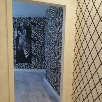 Сдается 2-х комнатная квартира, 44,5 м²