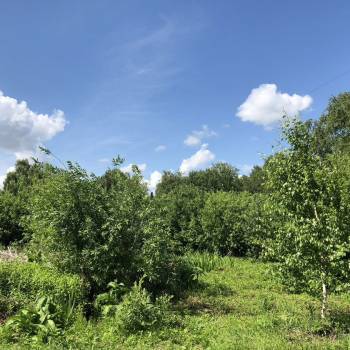 Продается Участок, 700 м²