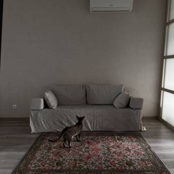 Сдается 2-х комнатная квартира, 47 м²