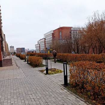 Сдается 1-комнатная квартира, 43 м²