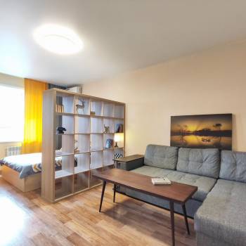 Сдается 1-комнатная квартира, 45 м²