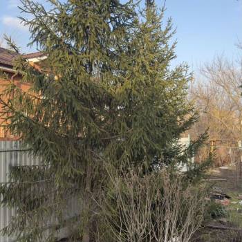 Сдается Дом, 60 м²