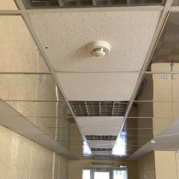 Сдается Нежилое помещение, 87 м²