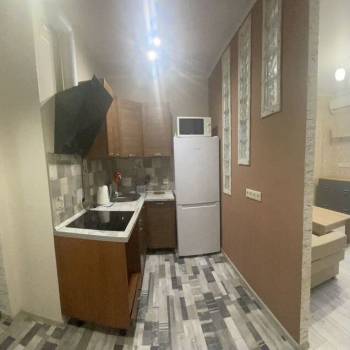 Сдается 1-комнатная квартира, 24,4 м²