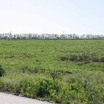 Продается Участок, 80000 м²