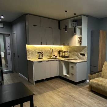 Сдается 1-комнатная квартира, 24,9 м²