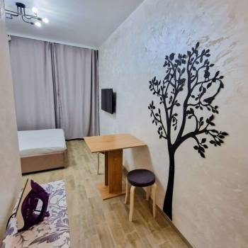 Сдается 1-комнатная квартира, 26 м²