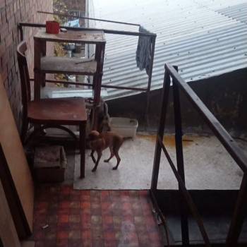 Сдается Комната, 17 м²