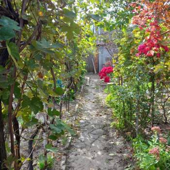 Продается Дом, 55 м²