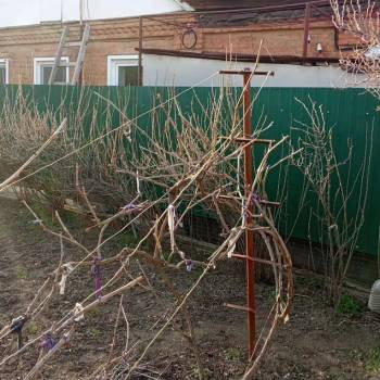 Продается Дом, 42 м²